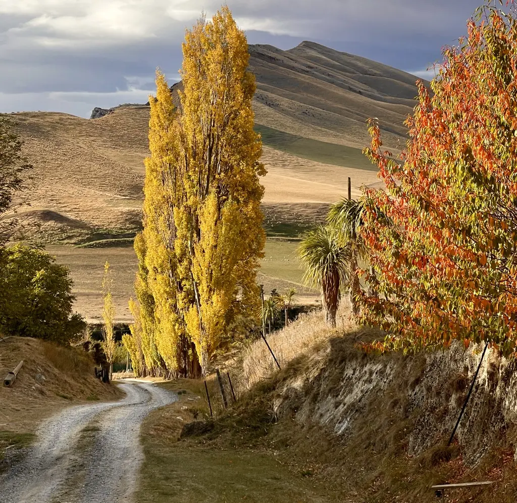 A road stretching ahead through the hills