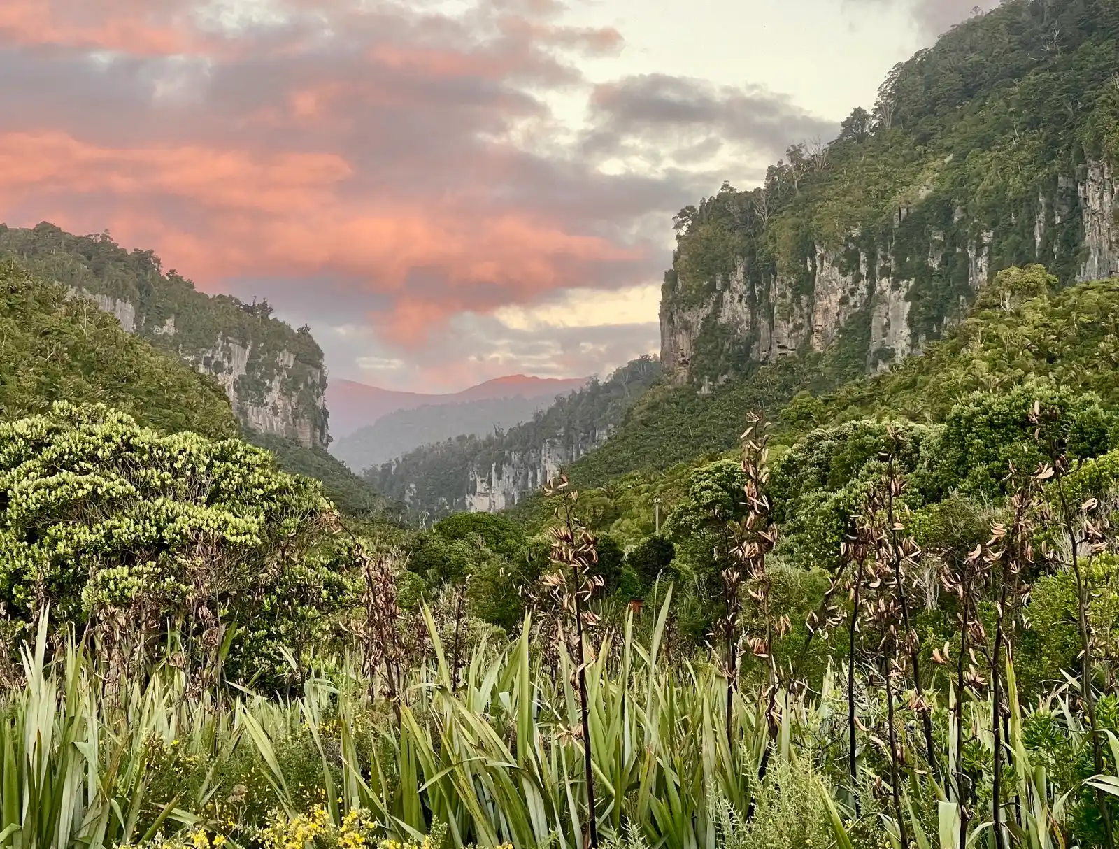 A broad valley opening between the hills